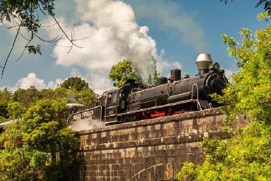 Tour Trem e Vinho com Ingresso Epopeia Italiana e Ingresso para o Trem Maria Fumaça 