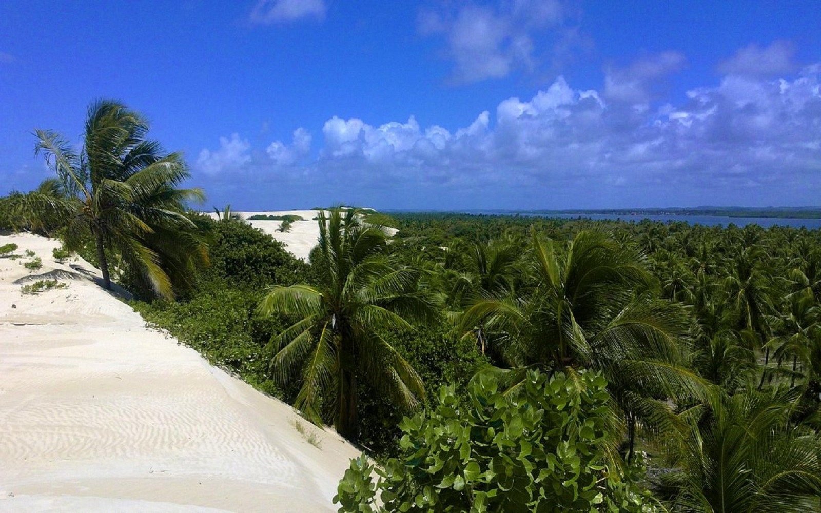 Passeio à Praia de Mangue Seco