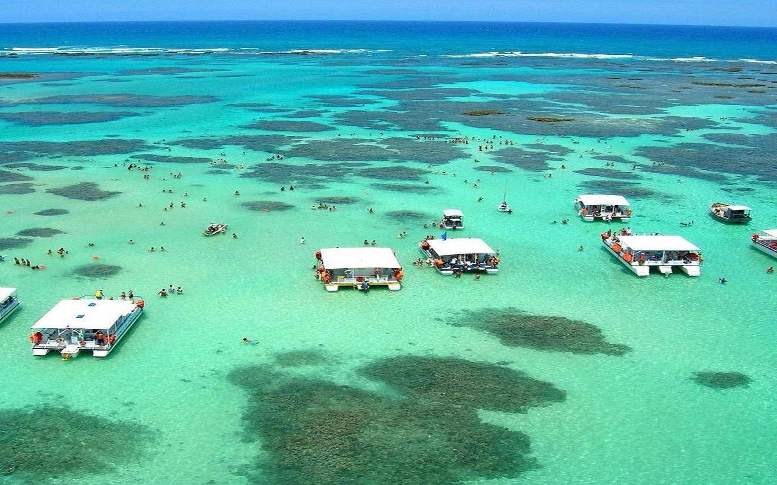 Passeio à Praia de Maragogi saindo de Recife