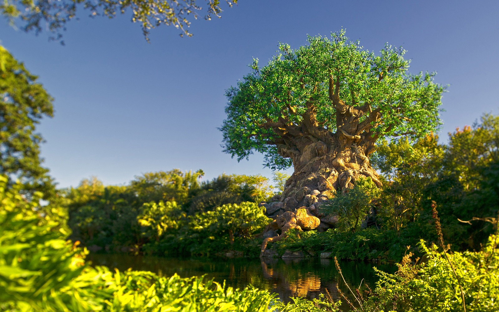 Walt Disney World - Disney’s Animal Kingdom® Theme Park Ticket 1 dia Walt Disney World - Disney’s Animal Kingdom® Theme Park Ticket 1 dia