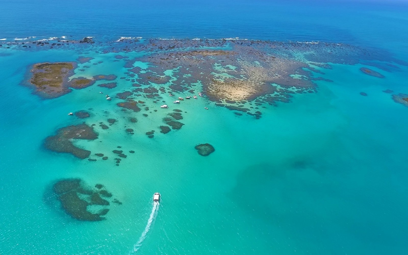 Passeio à Praia de Maragogi saindo de Maceió