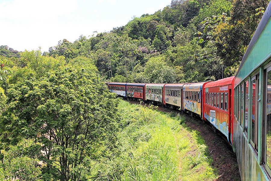 Passeio de Trem Curitiba a Morretes (Com Almoço)